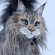 Chien et chat - galeria zdjęć - filmweb