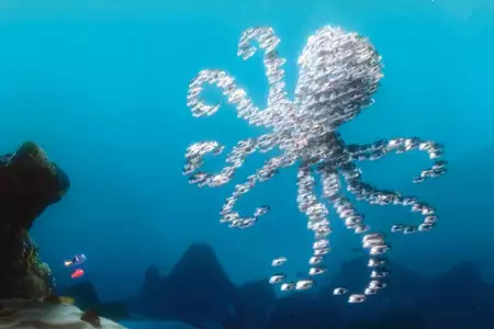 Gdzie jest Nemo - galeria zdjęć - filmweb