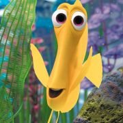 Finding Nemo - galeria zdjęć - filmweb