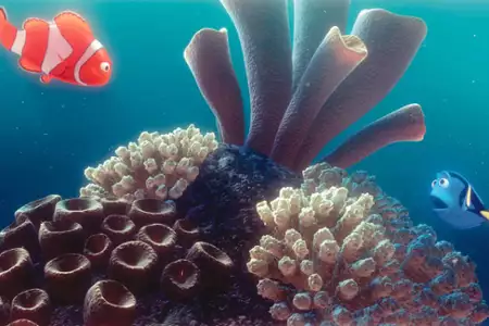 Gdzie jest Nemo - galeria zdjęć - filmweb
