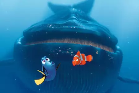 Gdzie jest Nemo - galeria zdjęć - filmweb