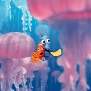 Finding Nemo - galeria zdjęć - filmweb