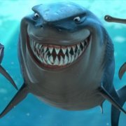 Gdzie jest Nemo - galeria zdjęć - filmweb