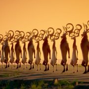 Riverdance: The Animated Adventure - galeria zdjęć - filmweb