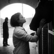 Głodny koń, chory pies, bite dziecko - galeria zdjęć - filmweb