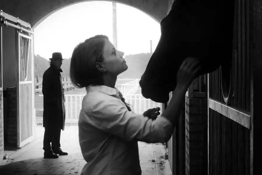 Głodny koń, chory pies, bite dziecko - galeria zdjęć - filmweb
