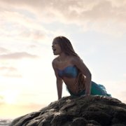 Mała syrenka - galeria zdjęć - filmweb