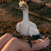 The Little Mermaid - galeria zdjęć - filmweb