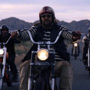 On the Roam - galeria zdjęć - filmweb