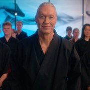 Cobra Kai - galeria zdjęć - filmweb