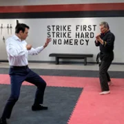 Cobra Kai - galeria zdjęć - filmweb