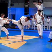 Cobra Kai - galeria zdjęć - filmweb
