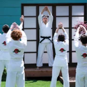 Cobra Kai - galeria zdjęć - filmweb