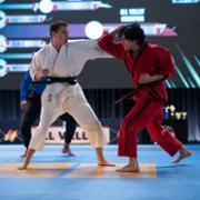 Cobra Kai - galeria zdjęć - filmweb
