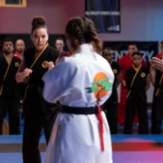 Cobra Kai - galeria zdjęć - filmweb
