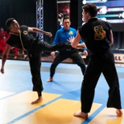 Cobra Kai - galeria zdjęć - filmweb