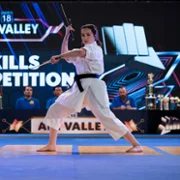 Cobra Kai - galeria zdjęć - filmweb