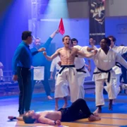 Cobra Kai - galeria zdjęć - filmweb
