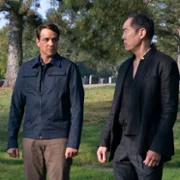 Cobra Kai - galeria zdjęć - filmweb