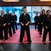 Cobra Kai - galeria zdjęć - filmweb