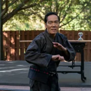 Cobra Kai - galeria zdjęć - filmweb
