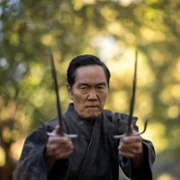 Cobra Kai - galeria zdjęć - filmweb