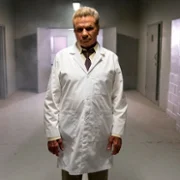 Cobra Kai - galeria zdjęć - filmweb