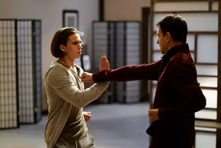 Cobra Kai - galeria zdjęć - filmweb