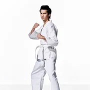 Cobra Kai - galeria zdjęć - filmweb