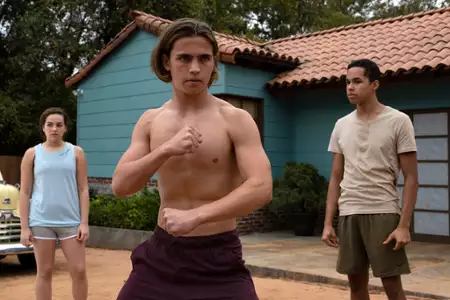 Cobra Kai - galeria zdjęć - filmweb