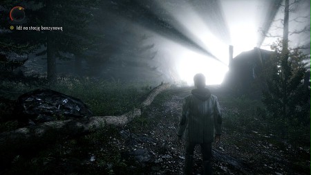 Alan Wake - galeria zdjęć - filmweb