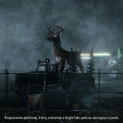 Alan Wake - galeria zdjęć - filmweb