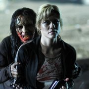 Prowl - galeria zdjęć - filmweb