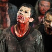 Prowl - galeria zdjęć - filmweb