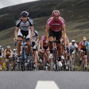 The Racer - galeria zdjęć - filmweb