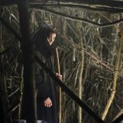 Eragon - galeria zdjęć - filmweb