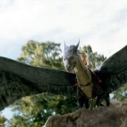 Eragon - galeria zdjęć - filmweb