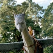 Eragon - galeria zdjęć - filmweb