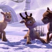 Niko - Lentäjän poika - galeria zdjęć - filmweb