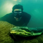 David Blaine: Do Not Attempt - galeria zdjęć - filmweb