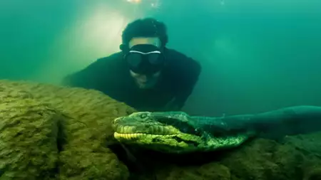 David Blaine: świat pełen wyzwań - galeria zdjęć - filmweb