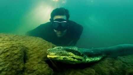 Sezon 1 Odcinek 1 Brazylia