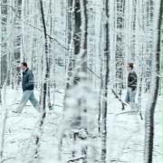 Zimowi bracia - galeria zdjęć - filmweb