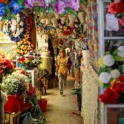 Karnawał - galeria zdjęć - filmweb