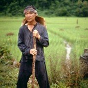 Heaven & Earth - galeria zdjęć - filmweb