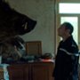 Gatunek wybuchowy - galeria zdjęć