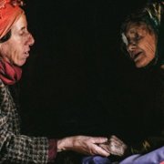 Kraina miodu - galeria zdjęć - filmweb