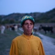 Honeyland - galeria zdjęć - filmweb