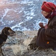 Honeyland - galeria zdjęć - filmweb