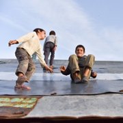 Honeyland - galeria zdjęć - filmweb